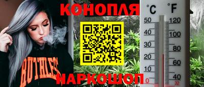 прущие крисы Ирбит