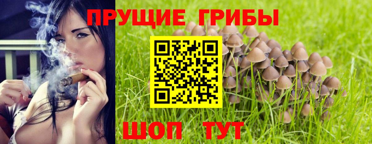 Псилоцибиновые грибы ЛСД  Вход с VPN  Курчатов  Галлюциногенные грибы Magic Shrooms 